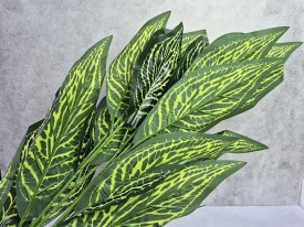 Planta hojas verdes largas